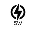 5W